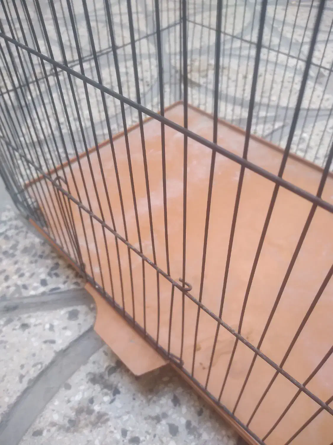 قفس|لوازم جانبی حیوانات|مشکیندشت, |دیوار