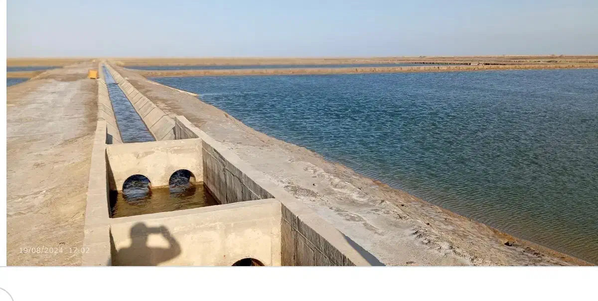 ساخت و اجرای تمامی کارهای عمرانی (طرح میگو)|خدمات پیشه و مهارت|بوشهر, |دیوار