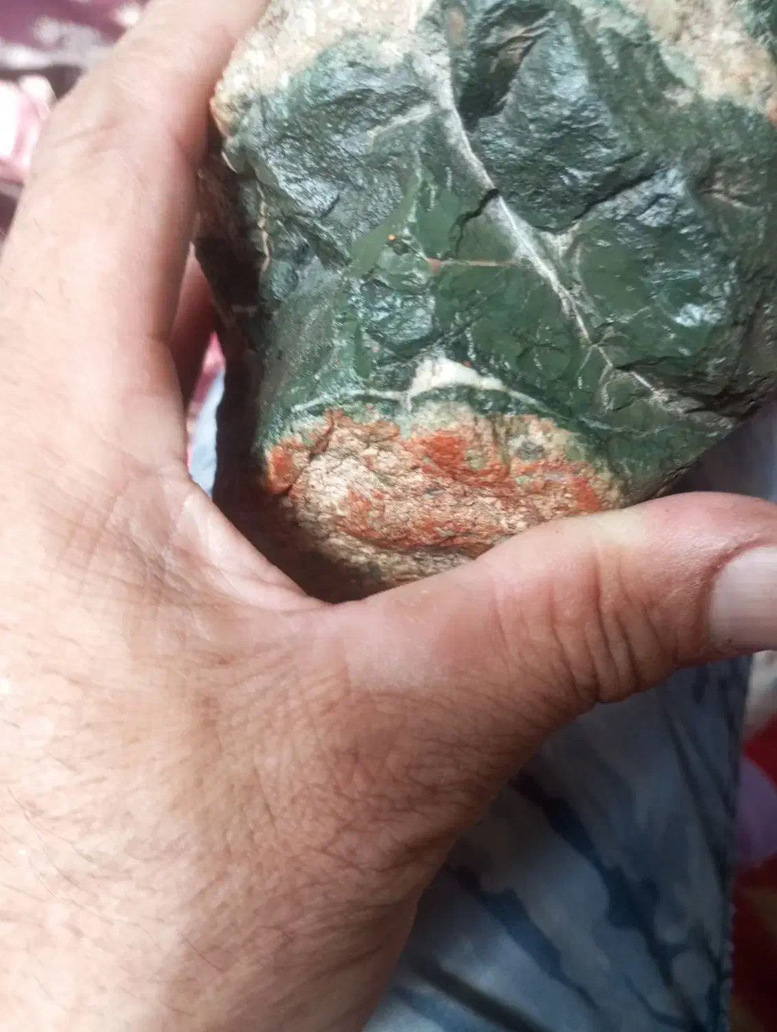 وسایل شخصی واکسسوری|زیورآلات و اکسسوری|زاوه, |دیوار