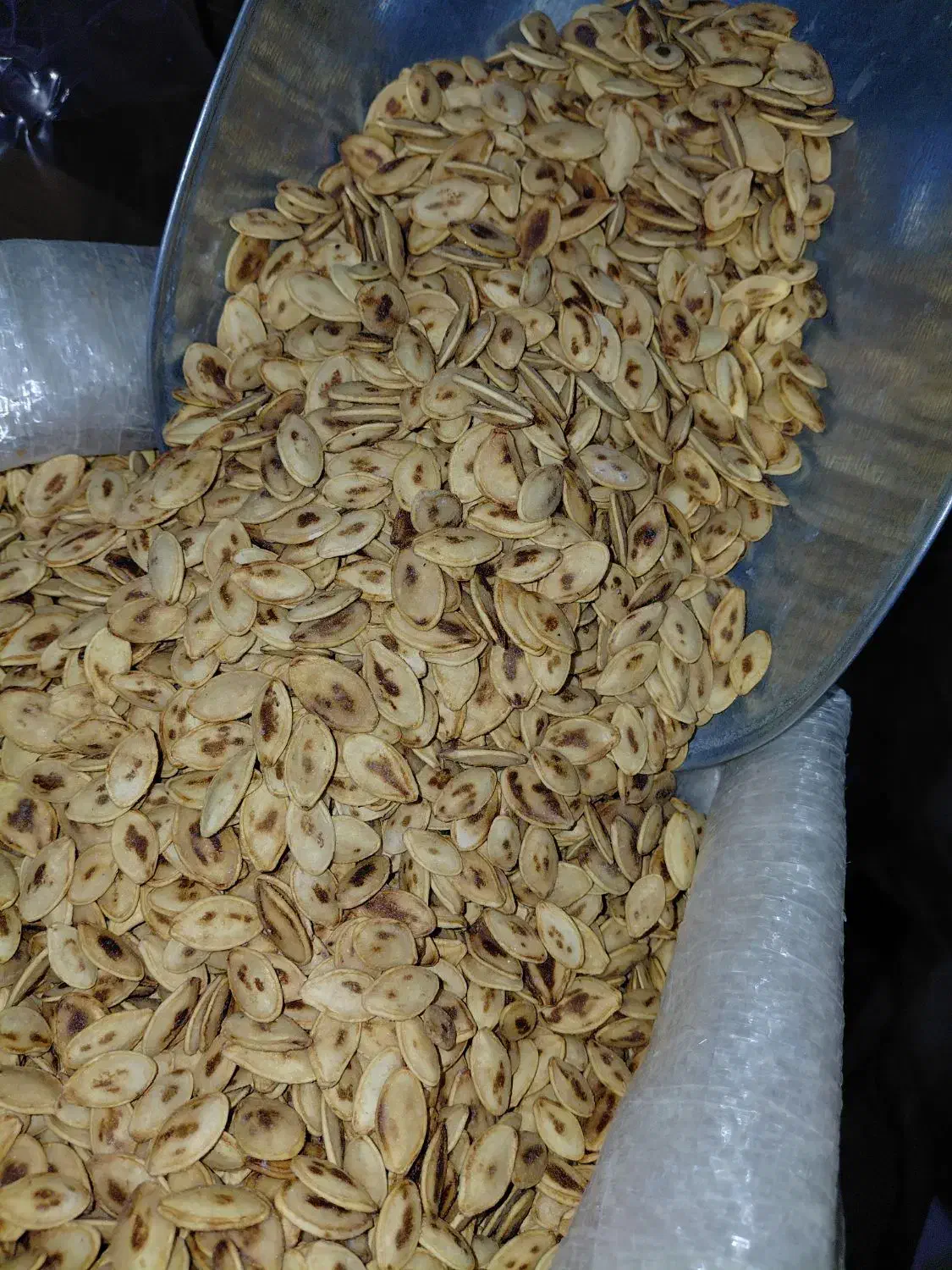 تخمه کدو درشت درجه یک خالدار و گوشتی|خوردنی و آشامیدنی|قم, منبع آب|دیوار