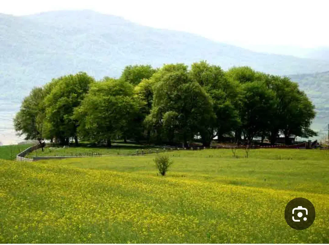 زمین فروشی روستای. ورند|فروش زمین و ملک کلنگی|پایین هولار, |دیوار