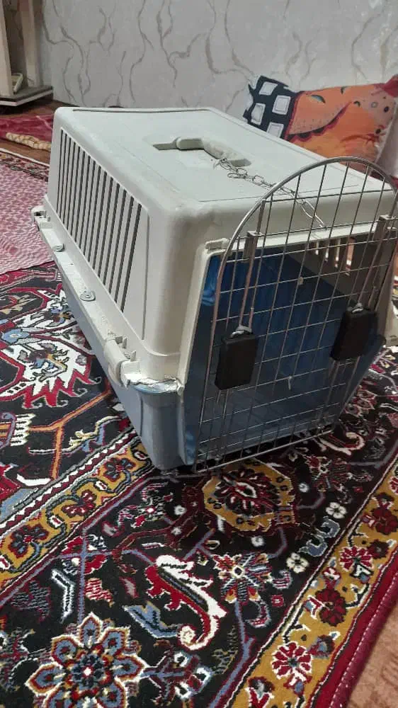 باکس حیوانات|لوازم جانبی حیوانات|سهند, |دیوار