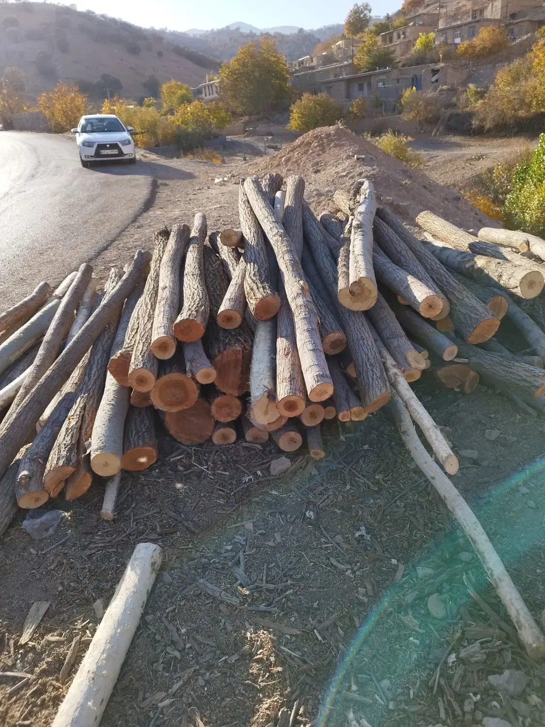 خریدار چوب|خدمات باغبانی و درختکاری|یاسوج, |دیوار