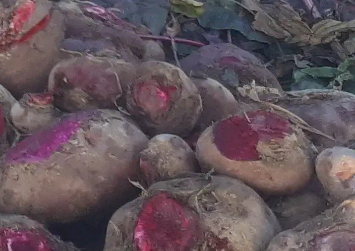 لبو شب یلدا|خوردنی و آشامیدنی|دشتابی, |دیوار