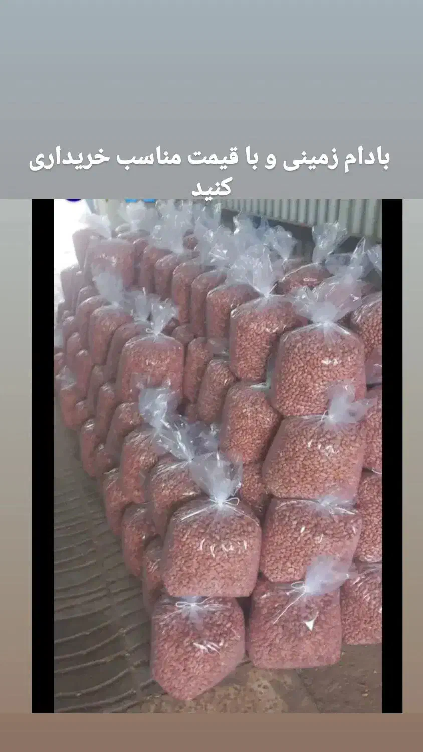 بادام زمینی درجه یک آستانه|خوردنی و آشامیدنی|تهران, انبار نفت|دیوار