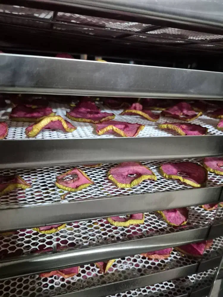 دستگاه خشک کن میوه سبزیجات لواشک 10و240سینی|ماشین‌آلات صنعتی|اصفهان, نمایشگاه بین المللی اصفهان|دیوار