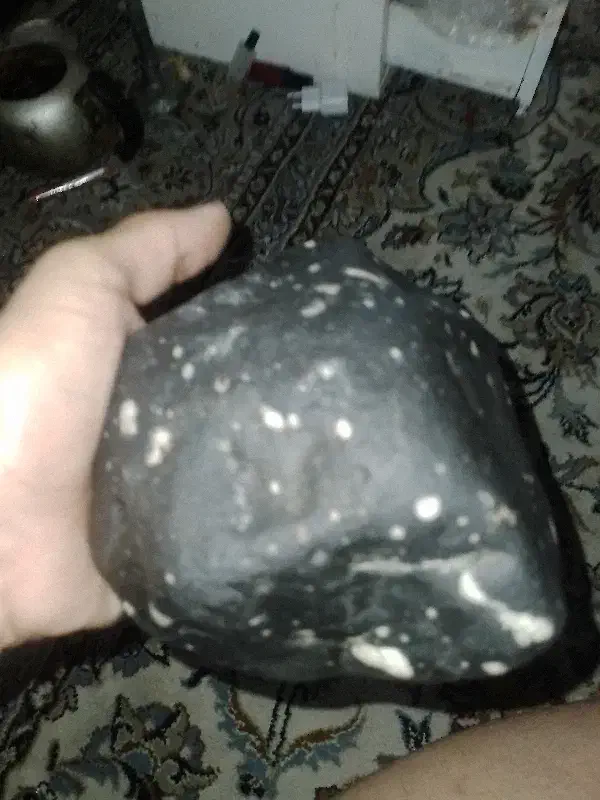 انگشترسکه گردبند|جواهرات|کلاچای, |دیوار