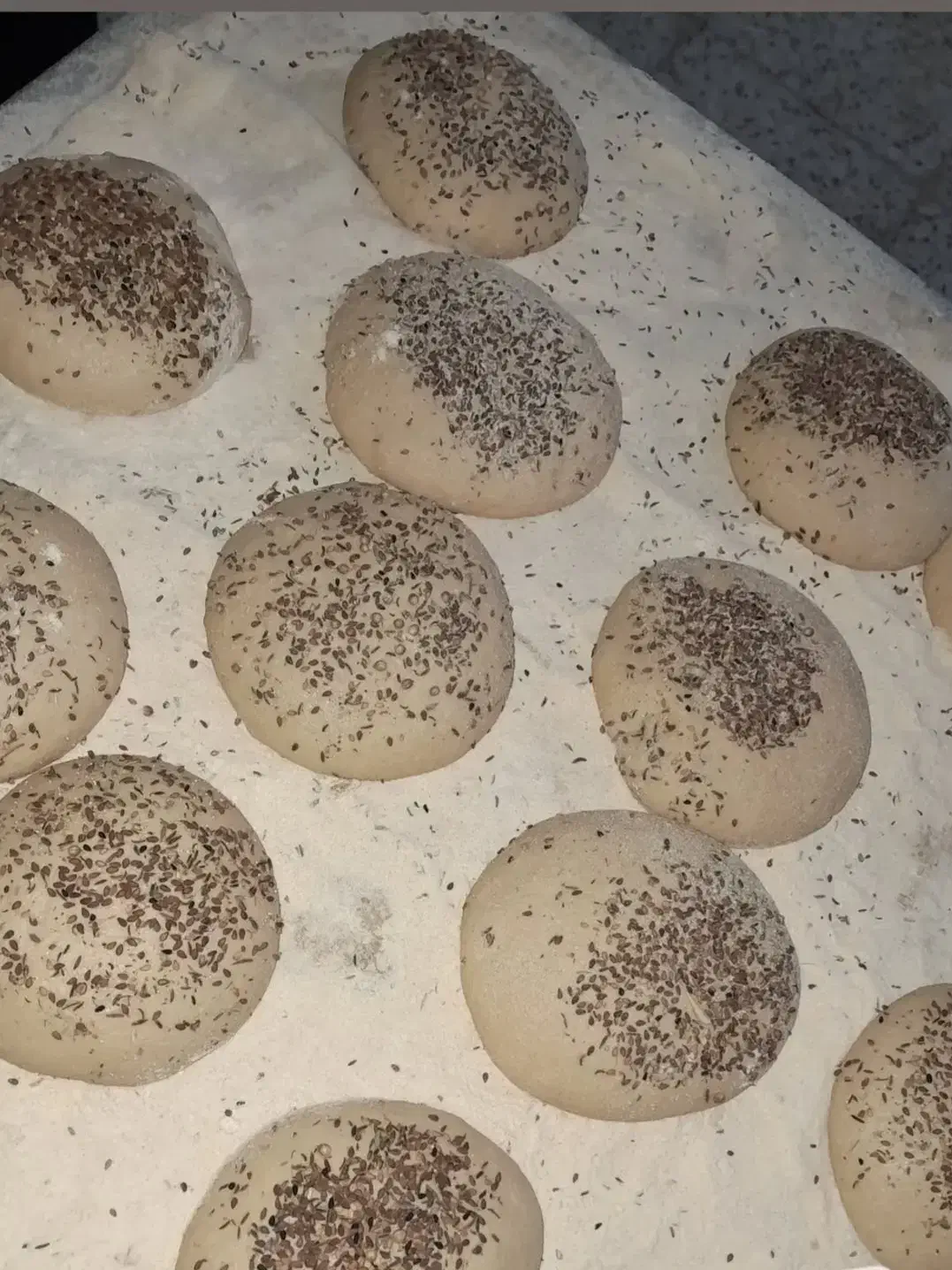 پخت نان گزی با ارد کاملا بومی و قوتی|خوردنی و آشامیدنی|شاهینشهر, گزبرخوار|دیوار