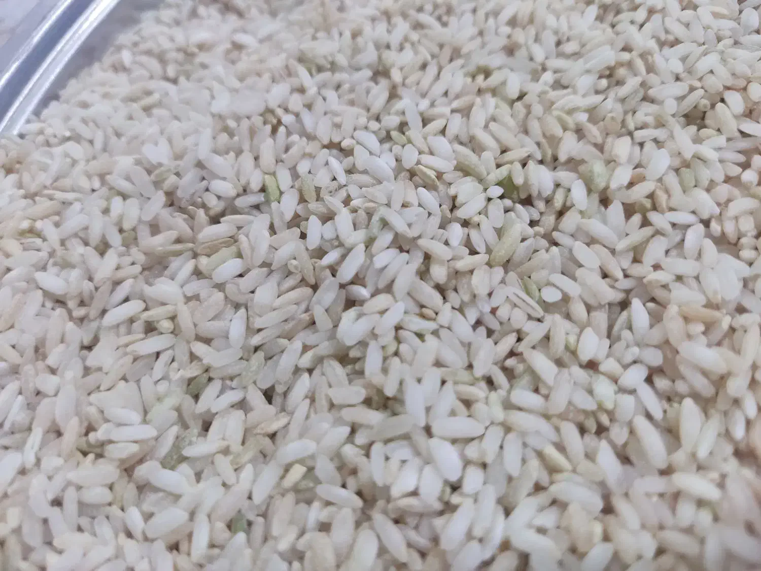 برنج چمپا|خوردنی و آشامیدنی|چیتاب, |دیوار