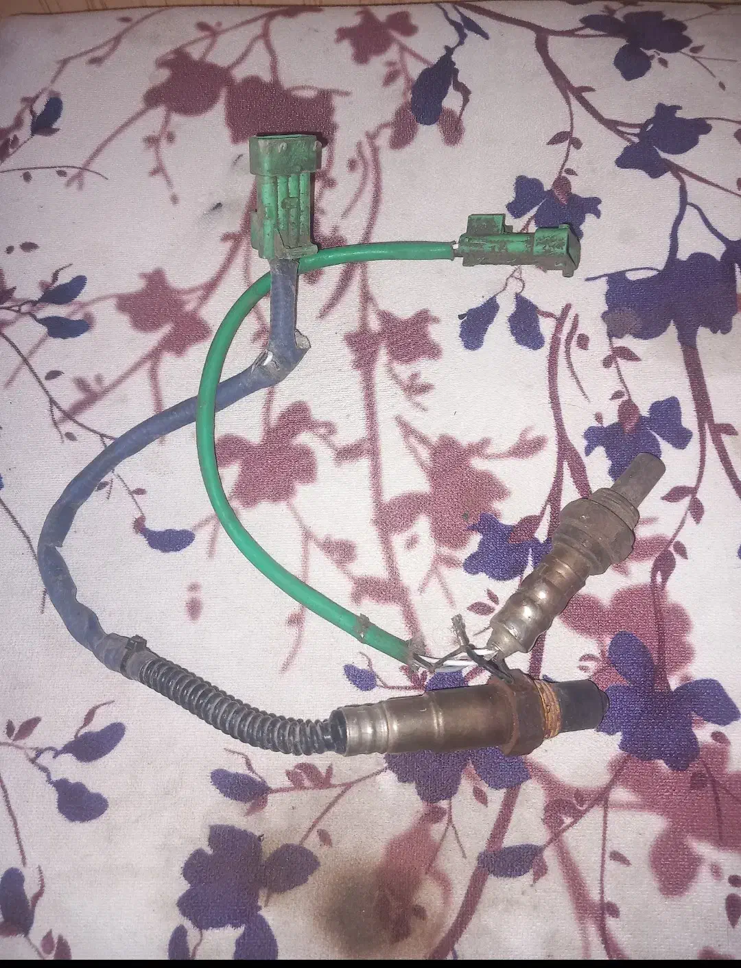 کفش گیوه ی خوش رنگ|قطعات یدکی و لوازم جانبی|نیشابور, فردوس شمالی|دیوار