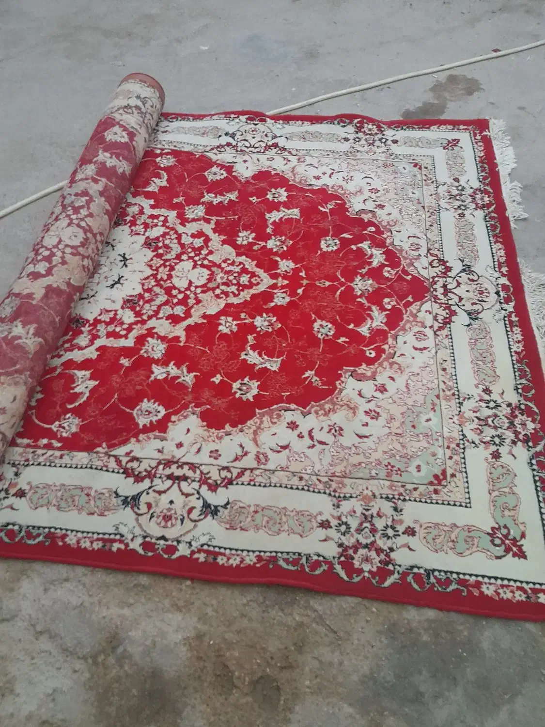 قالی|فرش|آبادان, |دیوار