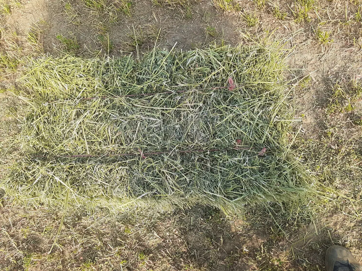 پرس یونجه چین ۴سنگین بدون علف با اب چاه .|حیوانات مزرعه|بروجرد, |دیوار