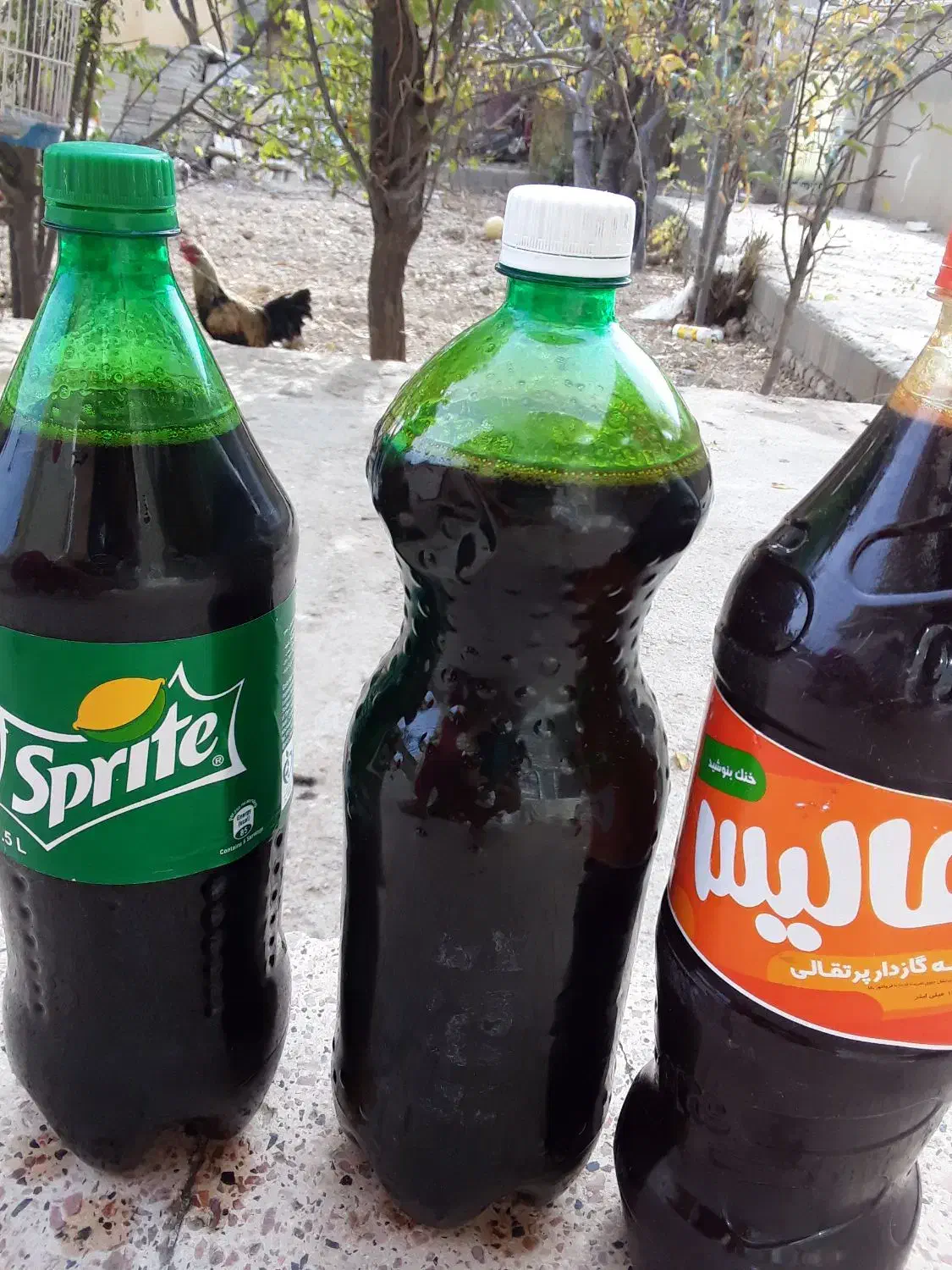 شیره انگور عسگری|خوردنی و آشامیدنی|شیروان (خراسان), |دیوار