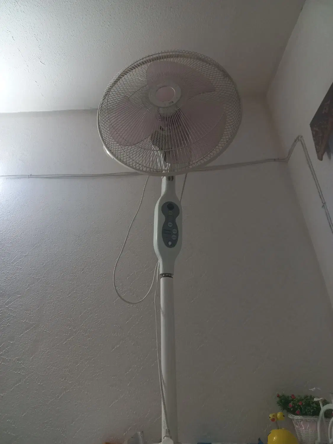 پنکه|پنکه و تصفیه‌کنندهٔ هوا|اصفهان, احمدآباد|دیوار