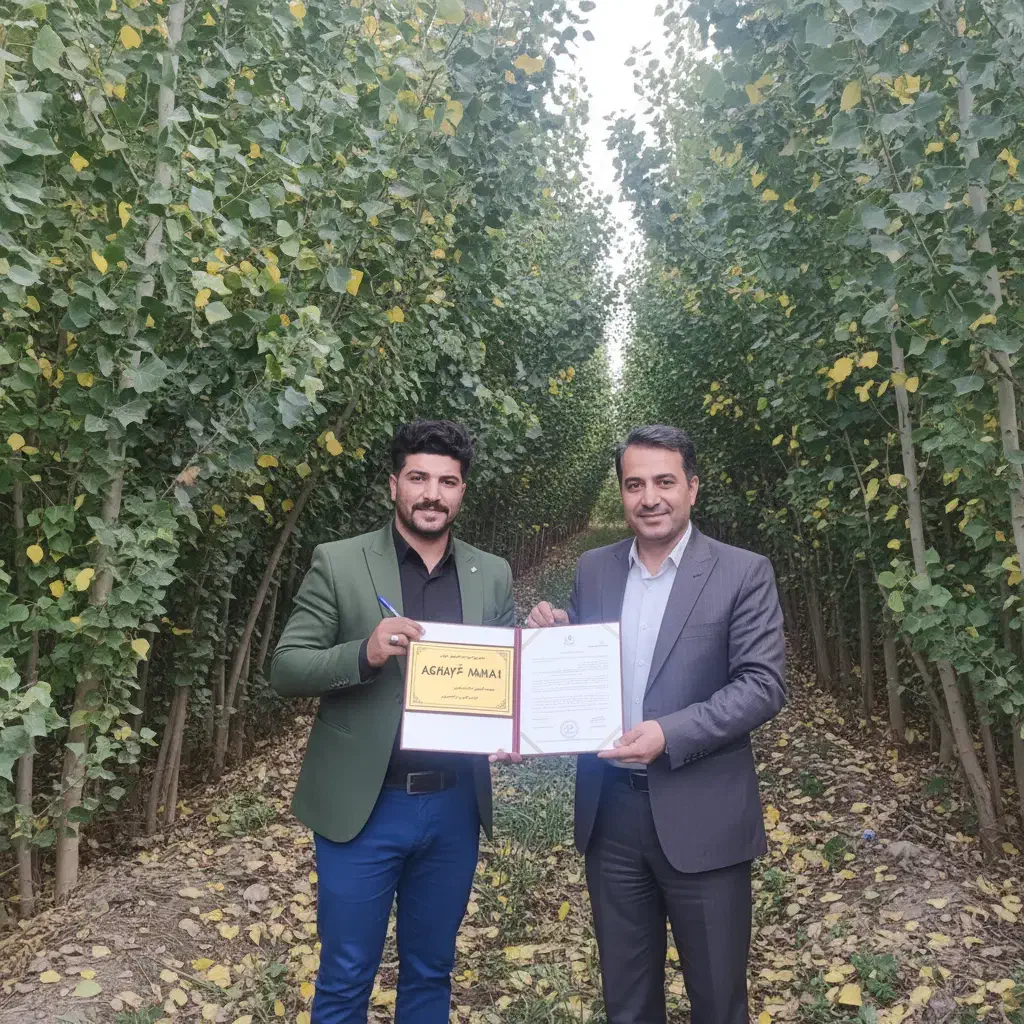 صنوبر صنعتی ممتاز مناسب زمین بزرگ و درآمد پایدار|خدمات باغبانی و درختکاری|مراغه, |دیوار