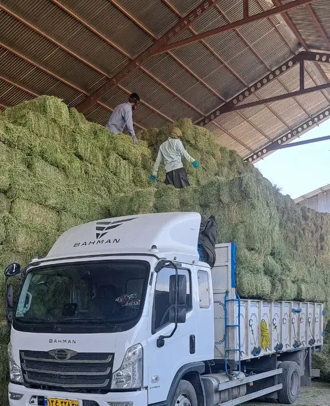 حمل بار با کامیونت|خدمات حمل و نقل|سردشت, |دیوار