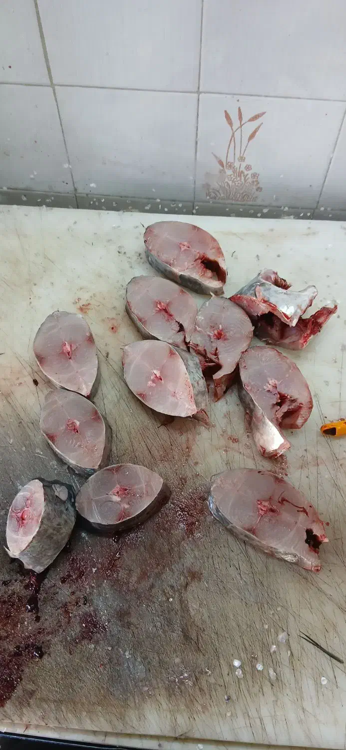 ماهی تازه|ماهی|جهرم, |دیوار