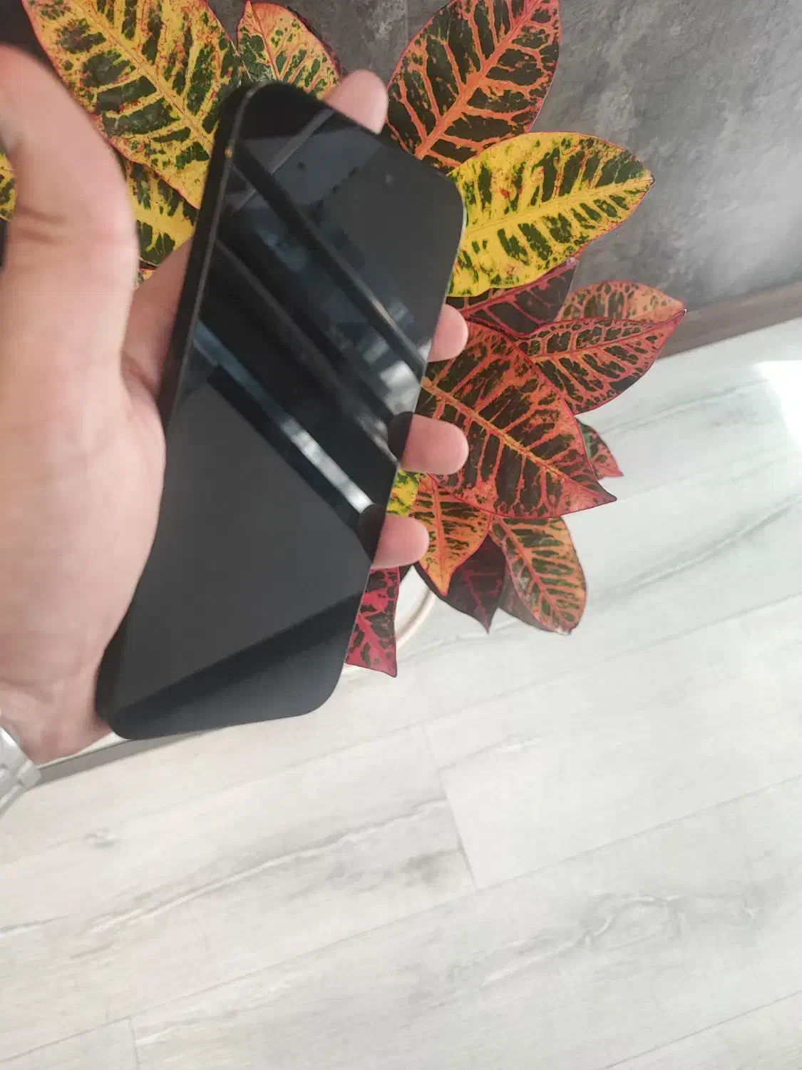 14promx(256g)zaa|موبایل|اصفهان, سروستان|دیوار