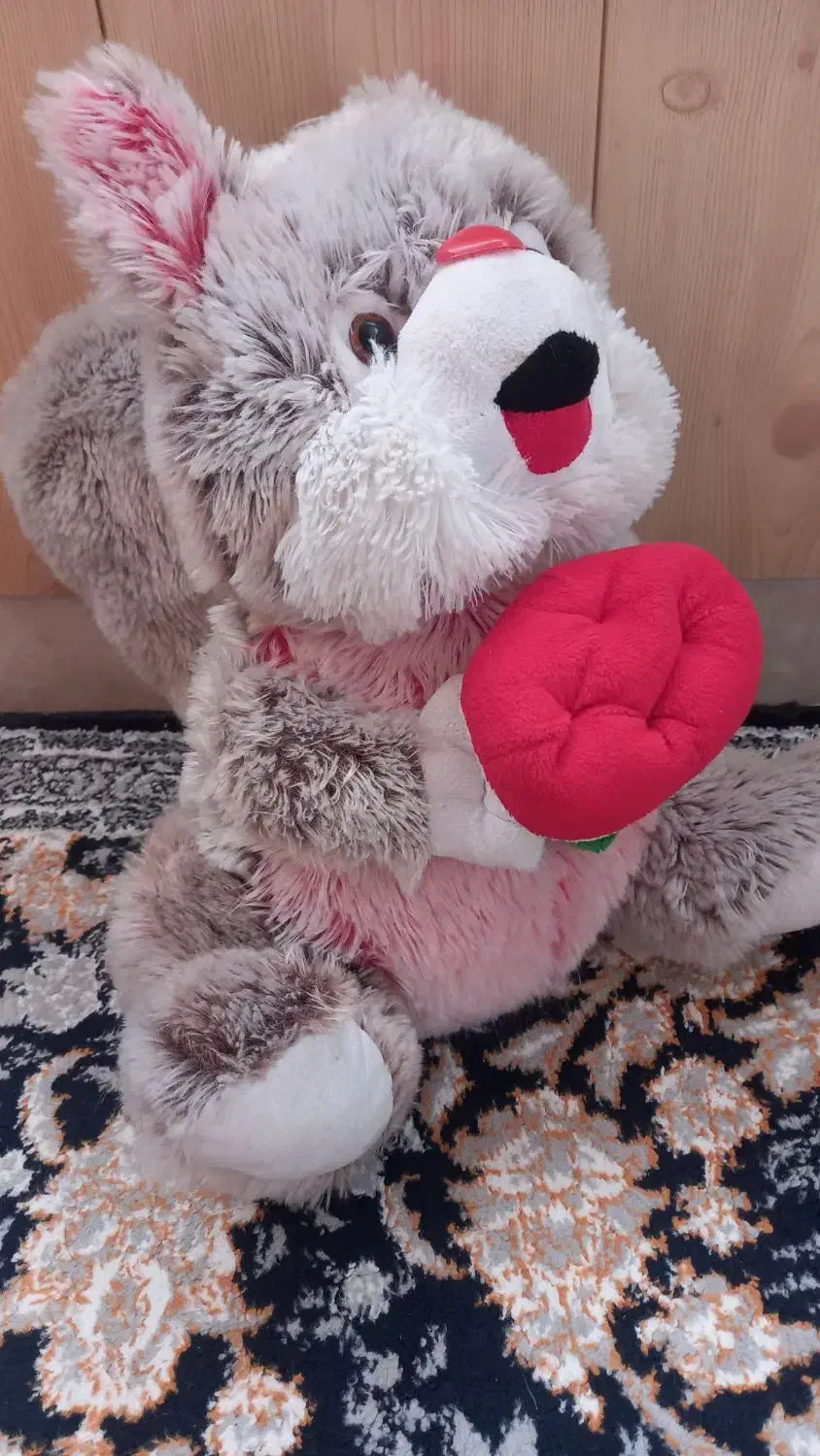 سنجاب پشمی|اسباب‌‌بازی|مشهد, سرافرازان|دیوار