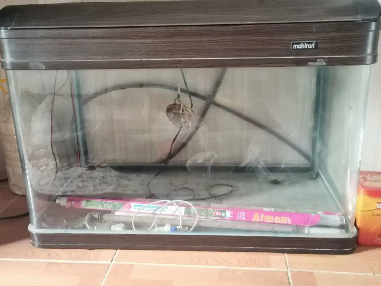 آکواریوم آماده کمددار ،ماهیران اصل|ماهی|کلاله, |دیوار