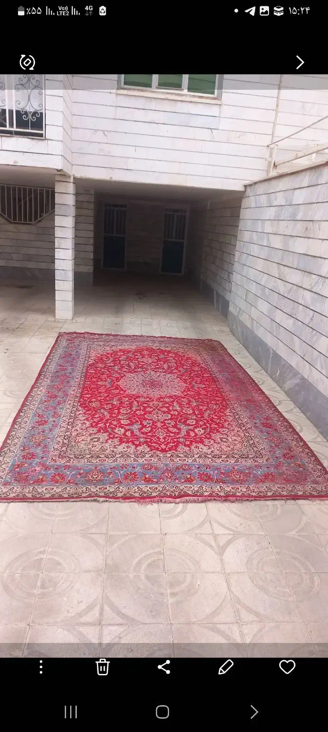 فرش دستباف|فرش|قزوین, |دیوار