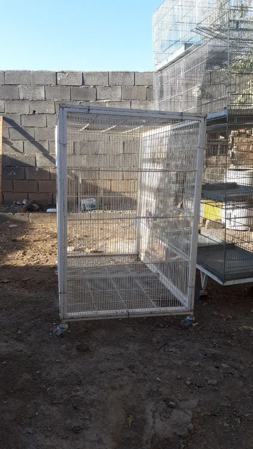 قفس بزرگ|لوازم جانبی حیوانات|خمین, |دیوار