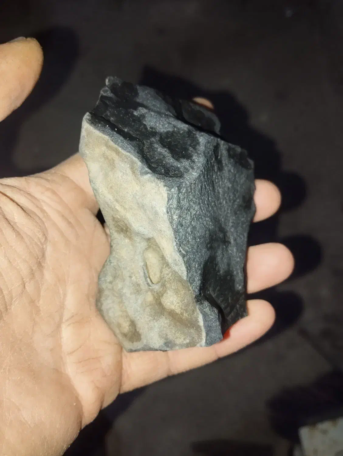 شهاب سنگ|کلکسیون و سرگرمی|تهران, فلسطین (میدان انقلاب)|دیوار