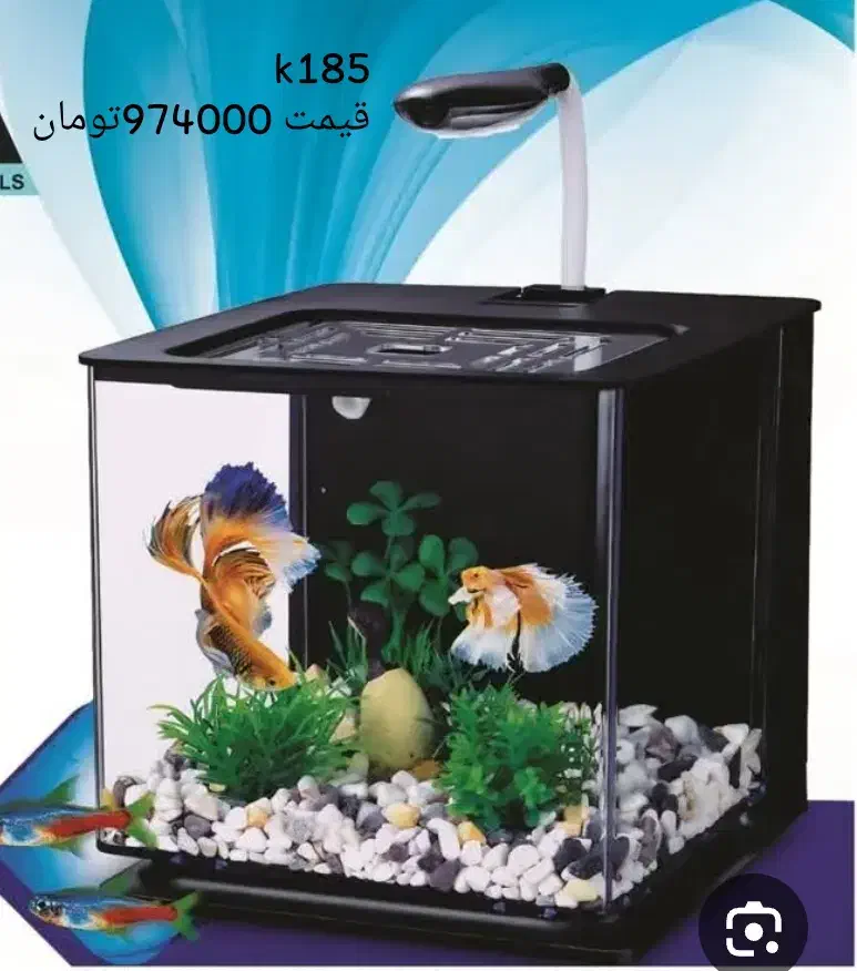 انواع آکواریوم شرکتی دلسا به قیمت کارخانه|ماهی|مشهد, بهاران|دیوار