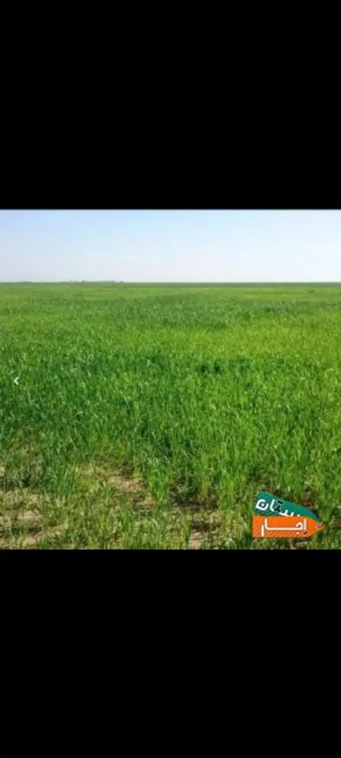 اجاره زمین کشاورزی توضیحات بخونید|اجارهٔ کوتاه‌مدت ویلا و باغ|رامشیر, |دیوار