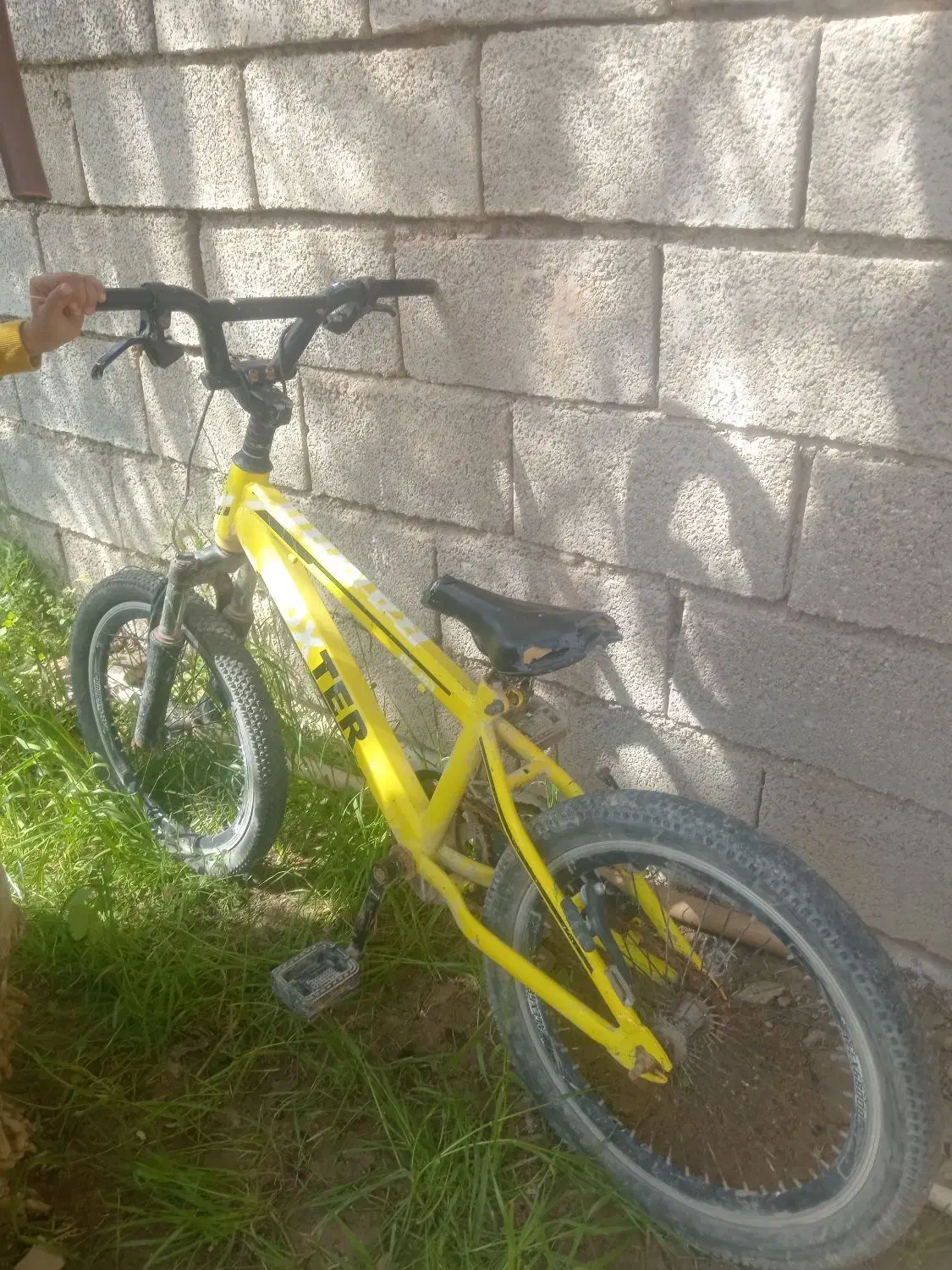 دوچرخه 20|دوچرخه، اسکیت، اسکوتر|شادگان, |دیوار