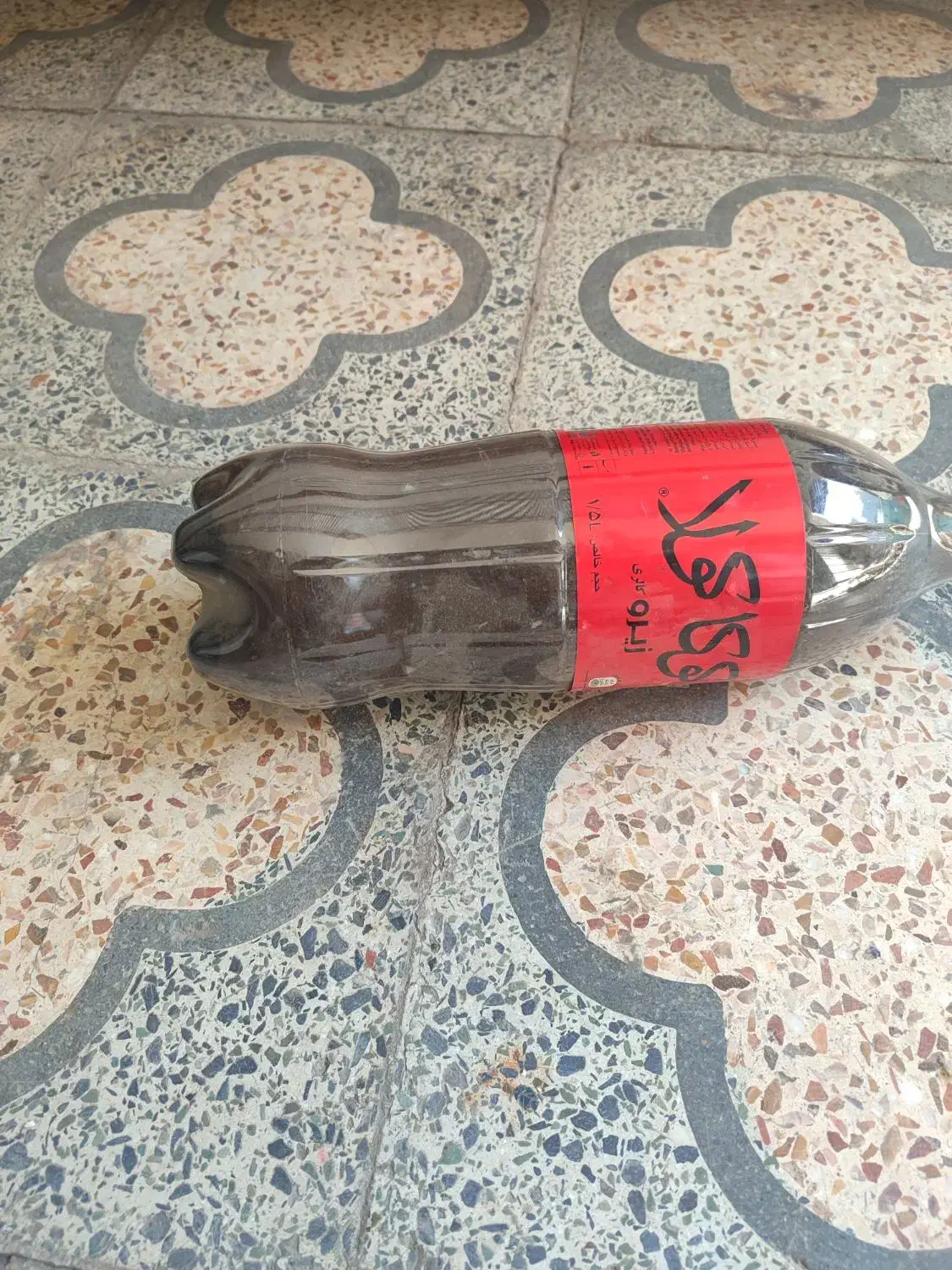 خاک آهن|گل و گیاه طبیعی|شوشتر, |دیوار