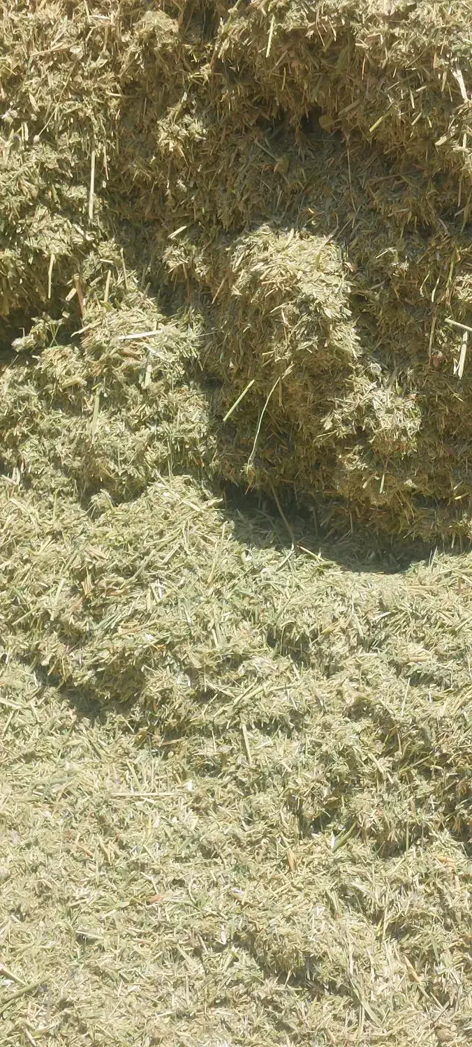 علف خوردشده۲۰۰۰۰۰|خدمات باغبانی و درختکاری|لاران, |دیوار