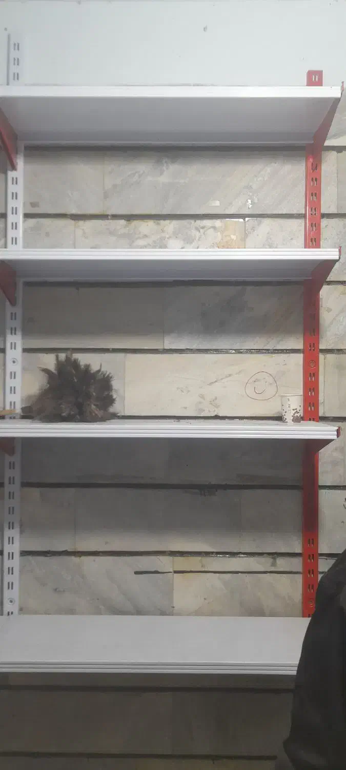 قفسه|فروشگاه و مغازه|دلبران, |دیوار