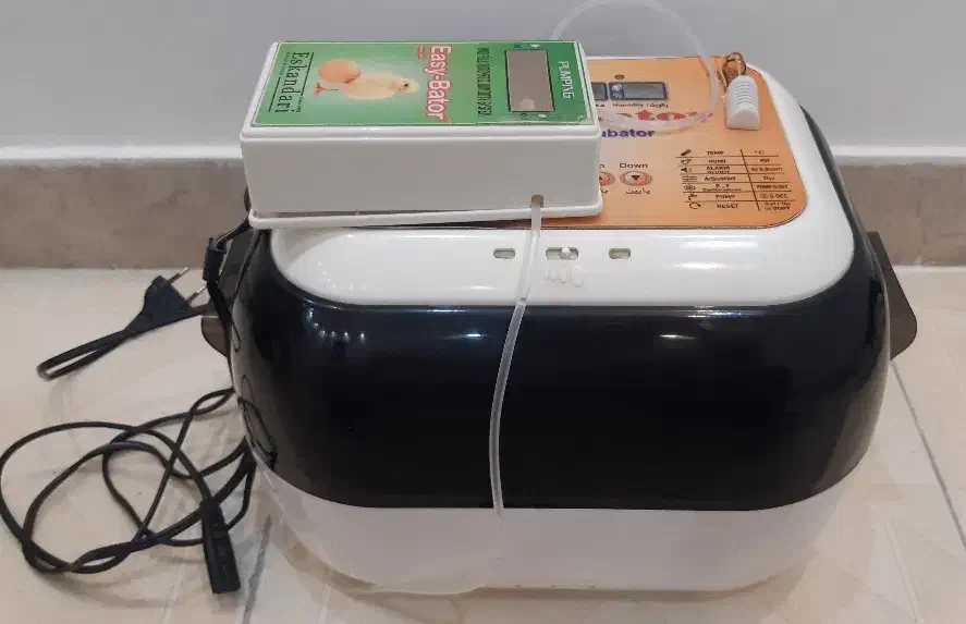 جوجه کشی|لوازم جانبی حیوانات|کرج, شهرک ولیعصر|دیوار