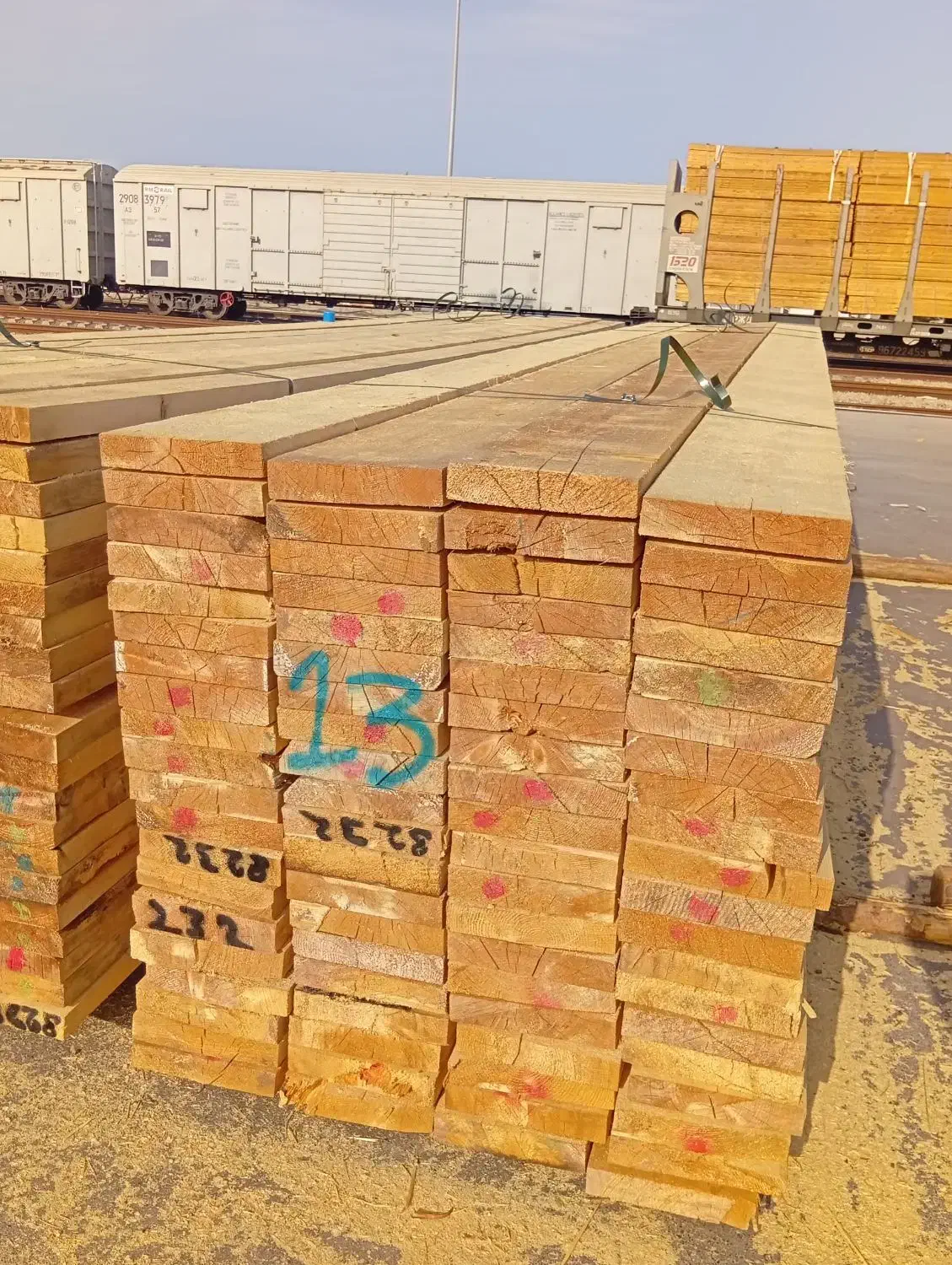 فروش عمده تخته بنایی|مصالح و تجهیزات ساختمان|چهاردانگه (تهران), |دیوار