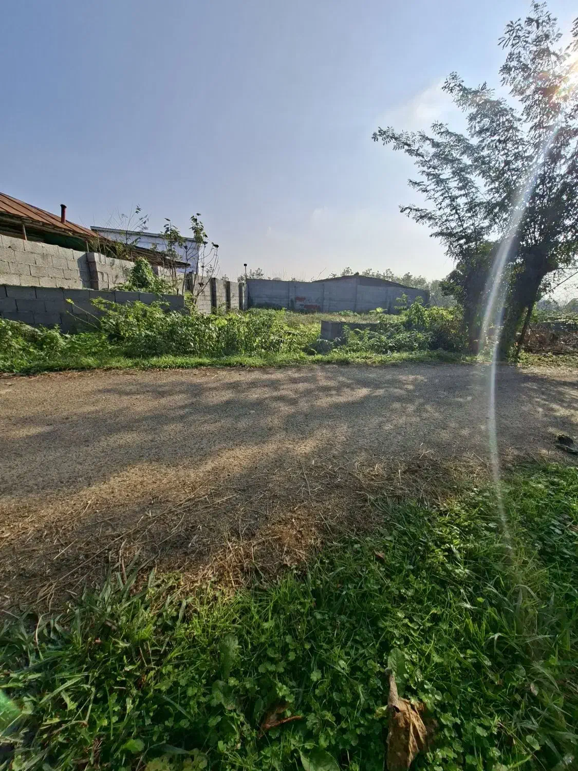 ۲۹۰متر دور محصور شده بادپروانه ساخت در ندامان|فروش زمین و ملک کلنگی|گوراب زرمیخ, |دیوار