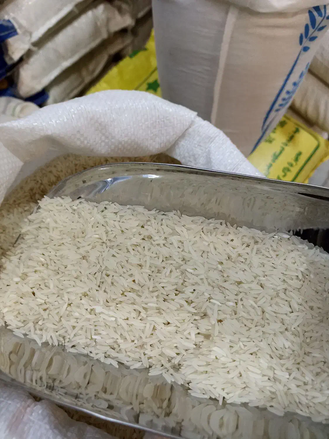 طارم فجر سوزنی ، خوش عطر ، بدون قاطی ، محصول گرگان|خوردنی و آشامیدنی|اصفهان, خواجه عمید|دیوار