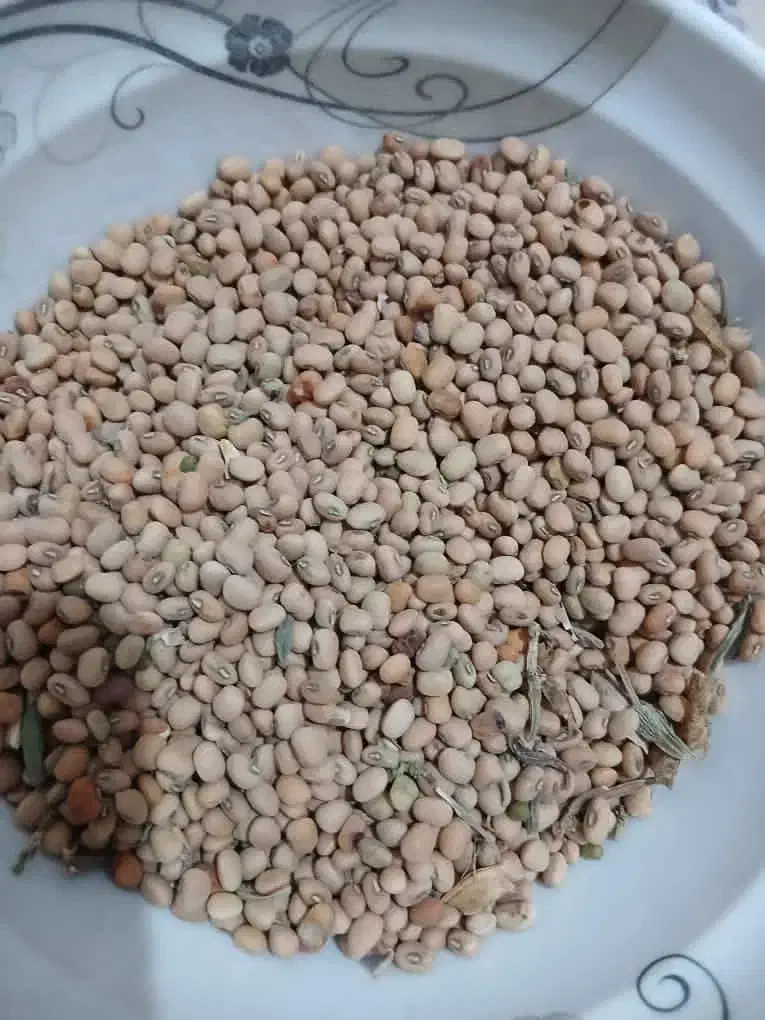 ک ن ج د|عمدهفروشی|کهنوج, |دیوار