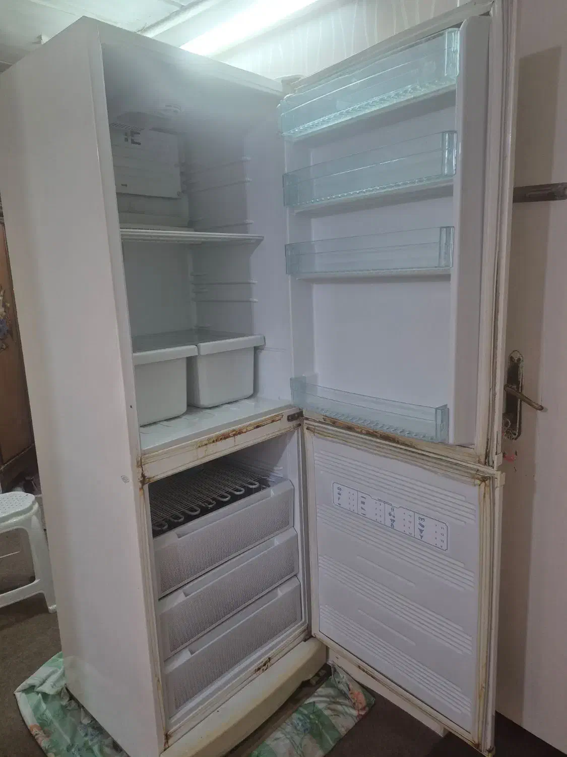 یخچال و فریزر سلین|یخچال و فریزر|بندرعباس, |دیوار