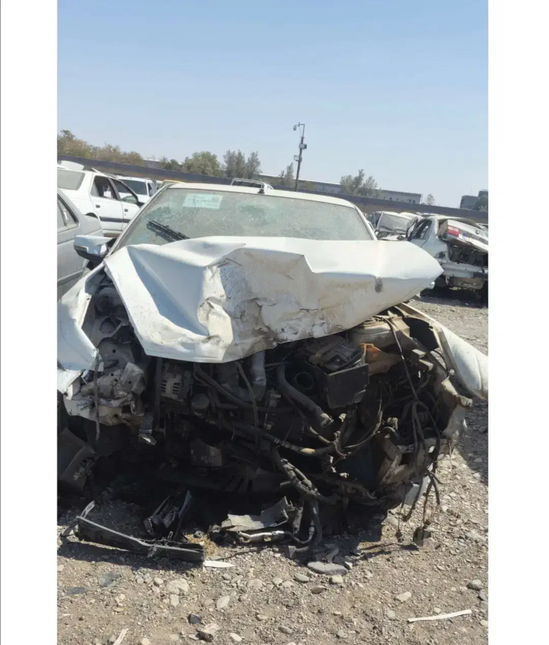 پارس سفید تصادفی|خودرو سواری و وانت|سیرجان, |دیوار