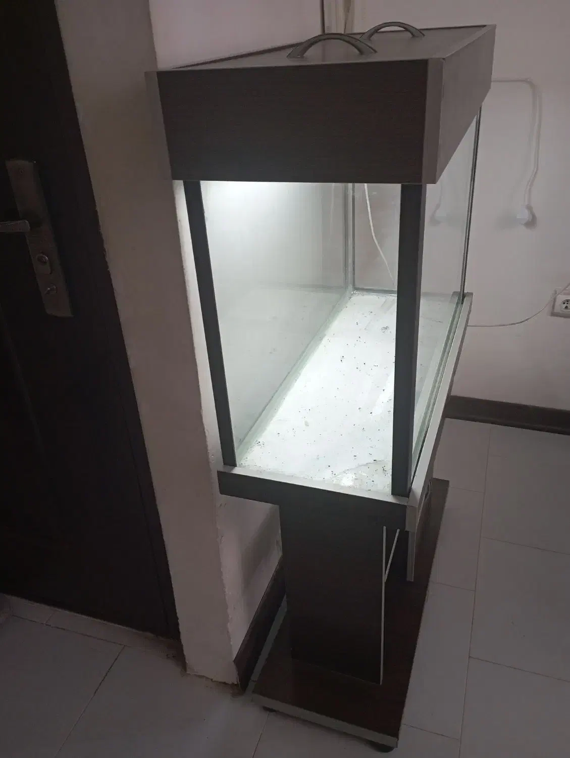 آکواریوم|ماهی|محمدیه-قزوین, |دیوار