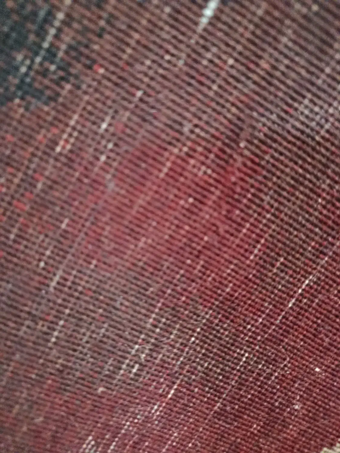 تندیس لیدی گودیوا|فرش|اصفهان, کوی ولی عصر|دیوار