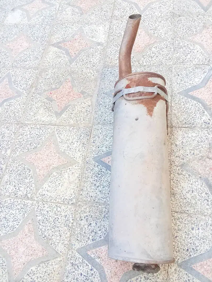 خرگوش لپ هلندی|موش و خرگوش|ایرانشهر, |دیوار