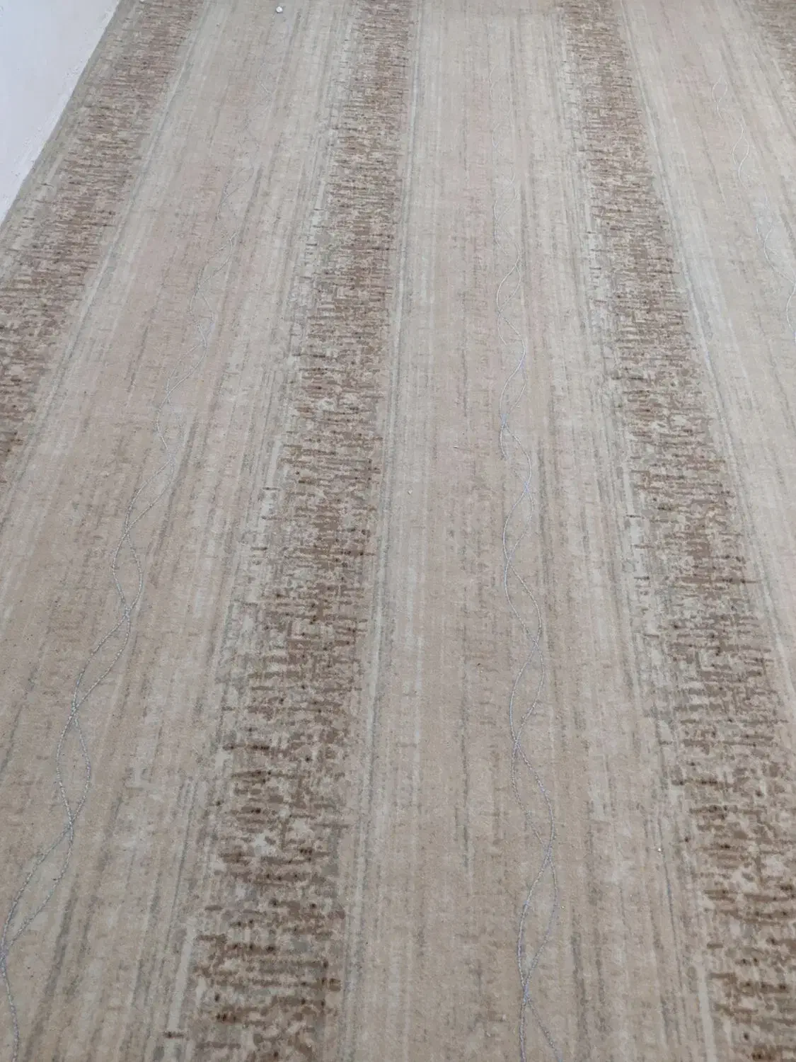 ۴۸ متر موکت در حد نو|موکت|قائم‌شهر, |دیوار