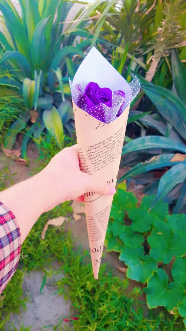 گل برای روز دانش آموز|گل مصنوعی|جاسک, |دیوار