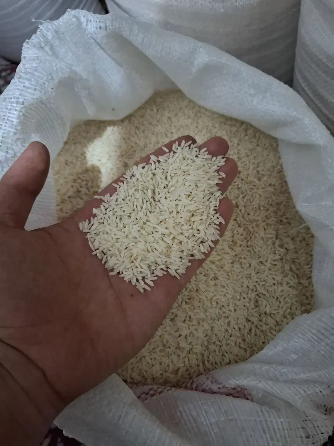 برنج دم سیاه درجه یک اصل کلات نادری|خوردنی و آشامیدنی|کلات (خراسان), |دیوار