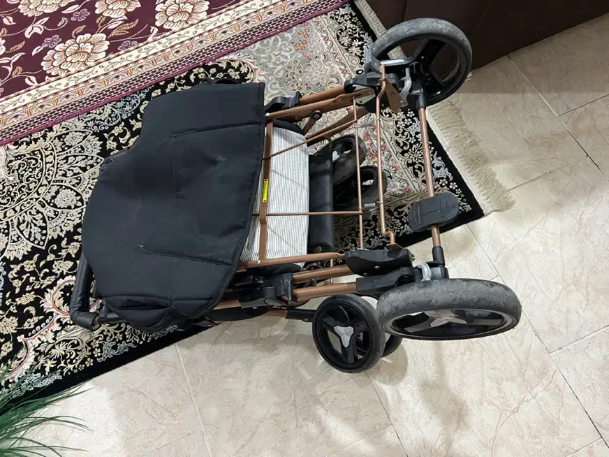 کالسکه دلیجان درحدنونو|کالسکه و لوازم جانبی|بندرعباس, |دیوار