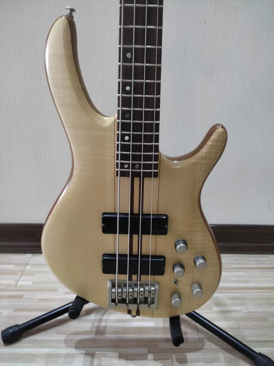 Cort Bass Artisan A4|گیتار، بیس، امپلیفایر|فولادشهر, C7|دیوار