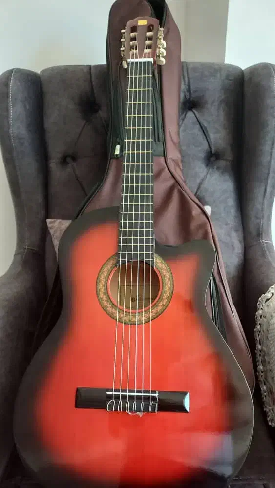 گیتار|گیتار، بیس، امپلیفایر|اردبیل, |دیوار