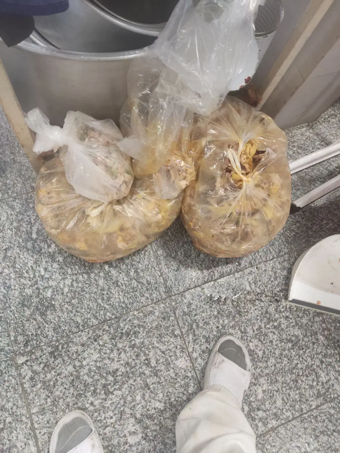 غذای سگ خام وپخته|لوازم جانبی حیوانات|زنجان, |دیوار